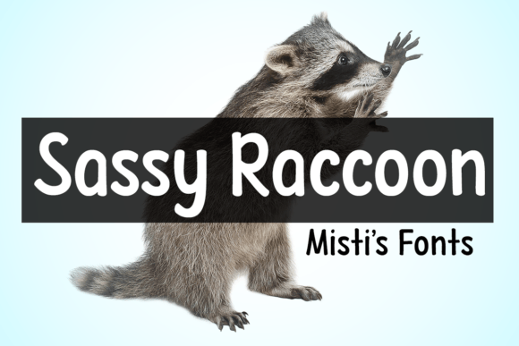 Sassy Raccoon: Evaluating a Whimsical Display Typeface for Modern Design Projects
